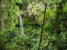Madagascar