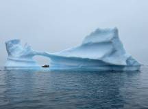 Polar