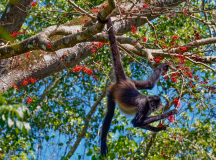 Discover Guatemala
