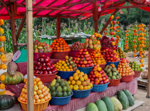 Discover Guatemala