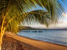Wild Madagascar