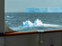 Polar