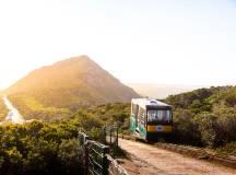 Highlights of South Africa’s Winelands