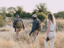 Kruger Safari Highlights – Premium Adventure