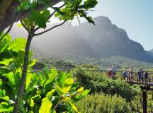 Highlights of South Africa’s Winelands