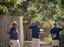 Kruger Safari Highlights – Premium Adventure