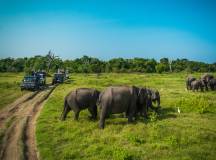 Best of Sri Lanka