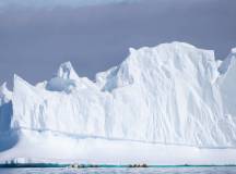 Penguins of the Far South: Falklands, South Georgia & Antarctica