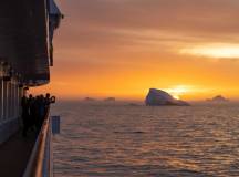 Penguins of the Far South: Falklands, South Georgia & Antarctica