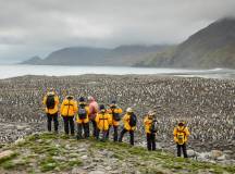 Penguins of the Far South: Falklands, South Georgia & Antarctica