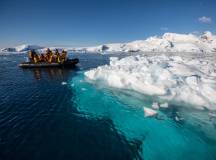 Polar