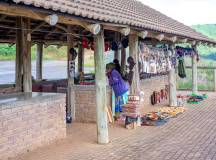 Kruger Safari Highlights – Premium Adventure
