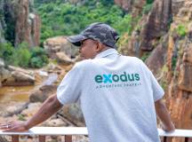 Kruger Safari Highlights – Premium Adventure