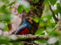 Discover Guatemala