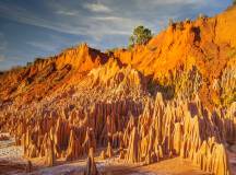 Madagascar