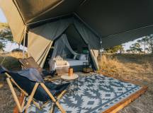 Kruger Safari Highlights – Premium Adventure
