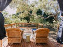 Kruger Safari Highlights – Premium Adventure