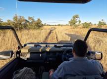 Safaris