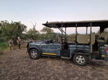 Safaris