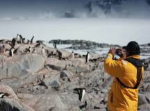Antarctic Express: Fly South, Sail North via Buenos Aires