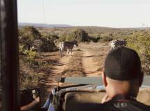 Discover South Africa’s Garden Route