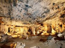 Discover South Africa’s Garden Route