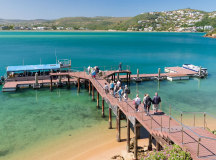 Discover South Africa’s Garden Route