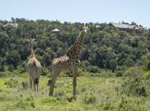 Cultural Wonders