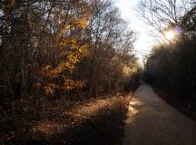 Madagascar Wildlife Adventure
