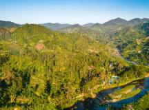 Madagascar Wildlife Adventure