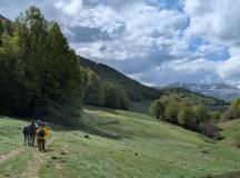 Italian Apennines: Walks & Wildlife