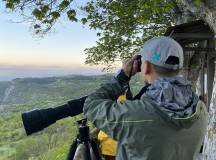 Italian Apennines: Walks & Wildlife