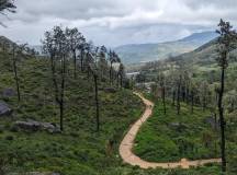 Sri Lanka