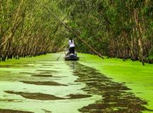 Mekong Delta Add-on Tour
