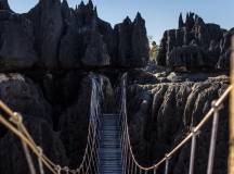 Madagascar Wildlife Adventure