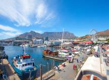 Best of the Garden Route – Premium Adventure