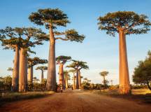Madagascar