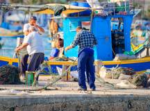 Discover Malta & Gozo