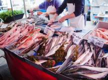 Discover Malta & Gozo