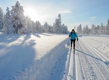 Cross-Country Skiing