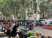 Discover Provence