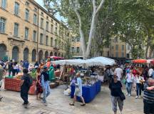 Discover Provence