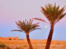 Discover Morocco