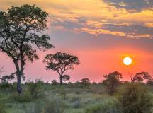 Africa
