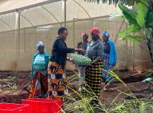 Women in Farming