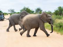 Africa