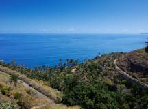 Canary Islands