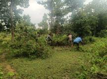 Tiger Habitat Project