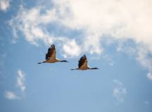 Guided Group