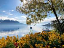 Discover Switzerland by Rail